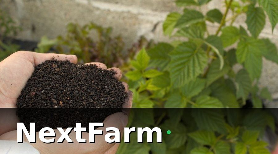 NextFarm — Cách Cải Tạo Đất Trồng Rau Đạt Chuẩn