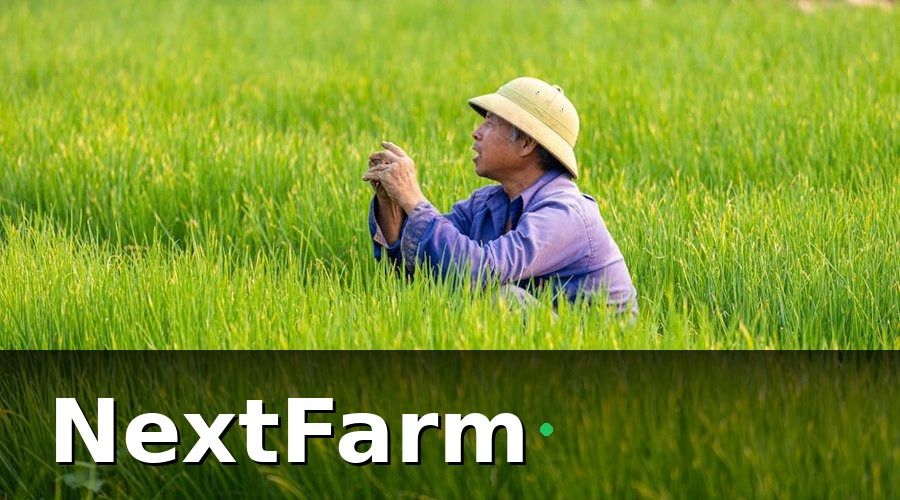 NextFarm — Tại Sao Đầu Tư Nông Nghiệp Công Nghệ Ngày Càng Cấp Thiết?