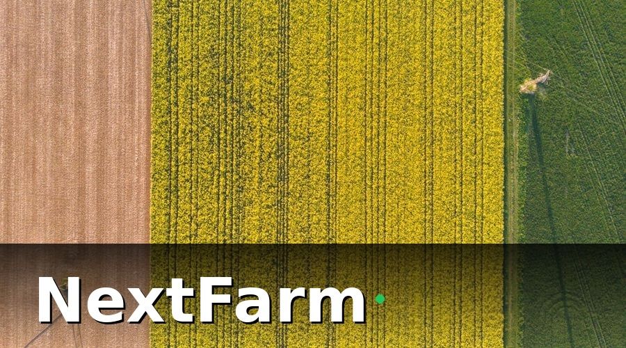 NextFarm — Bài Toán Hoàn Vốn: Tính Thế Nào Cho Đúng?