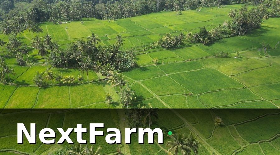 NextFarm — Drone Nông Nghiệp Là Gì? Tại Sao Nông Dân Việt Bắt Đầu Quan Tâm?