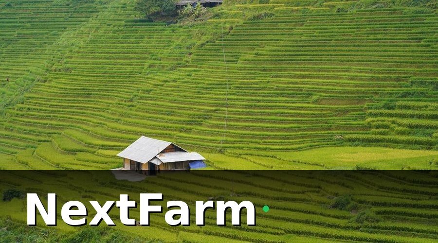 NextFarm — Thực Tế Triển Khai Drone Tại Việt Nam — Những Điều Ít Ai Nói