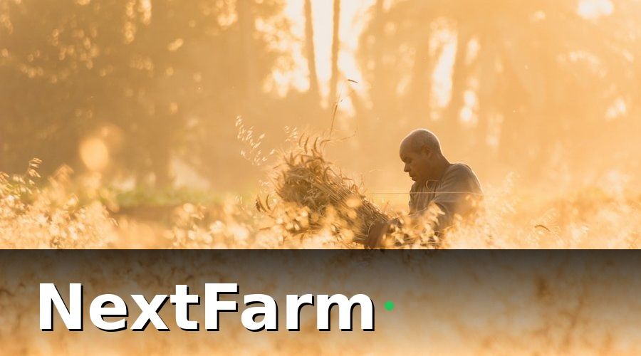 NextFarm — Tại Sao Dự Báo Sản Lượng Truyền Thống Không Còn Đủ?