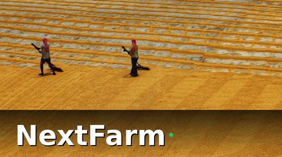 NextFarm — Hướng Dẫn Từng Bước Triển Khai Dự Báo Sản Lượng AI