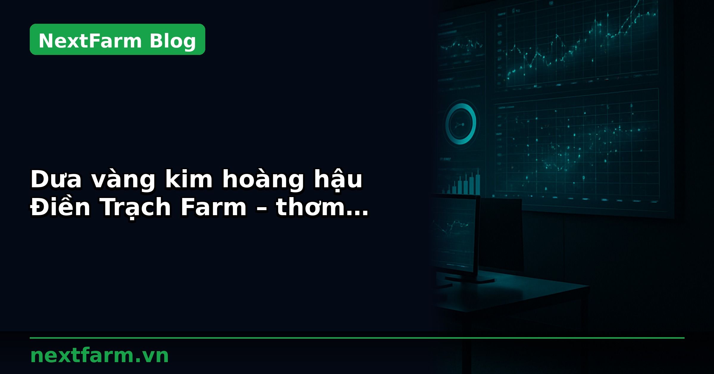 Dưa vàng kim hoàng hậu Điền Trạch Farm – thơm ngon bổ dưỡng, chuẩn VietGAP