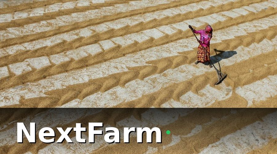 NextFarm — Tại sao doanh nghiệp nông nghiệp cần ghi nhật ký điện tử?