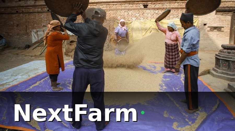 NextFarm — Ví dụ thực tế: HTX lúa gạo Đồng Tháp