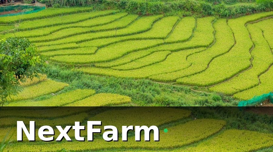 NextFarm — Quy Trình Ghi Nhật Ký Theo Từng Giai Đoạn