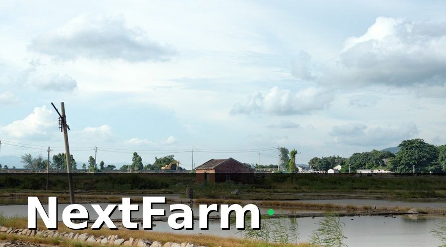 NextFarm — Tại Sao Ao Tôm Công Nghiệp Cần Ghi Nhật Ký Điện Tử?