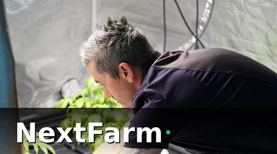NextFarm — Vì Sao Thủy Canh Cần Nhật Ký Điện Tử Hơn Bất Kỳ Mô Hình Nào?