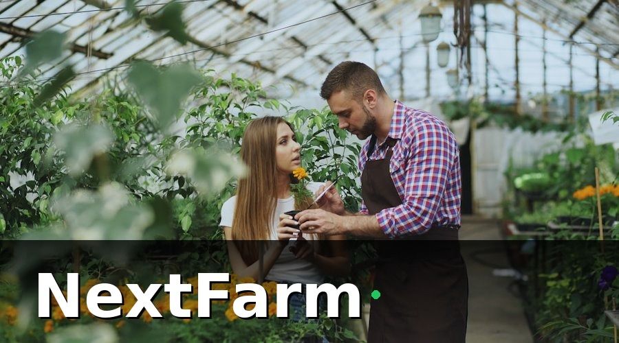 NextFarm — Quy Trình Ghi Nhật Ký Điện Tử: 5 Bước Chuẩn