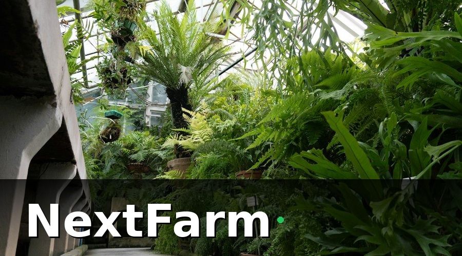 NextFarm — Tích hợp với các giải pháp smart farming khác