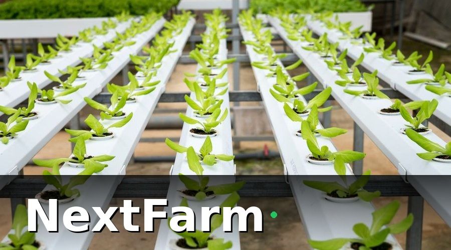 NextFarm — Bước 1: Xác Định Các Thông Số Cần Ghi Cho Từng Loại Hệ Thống