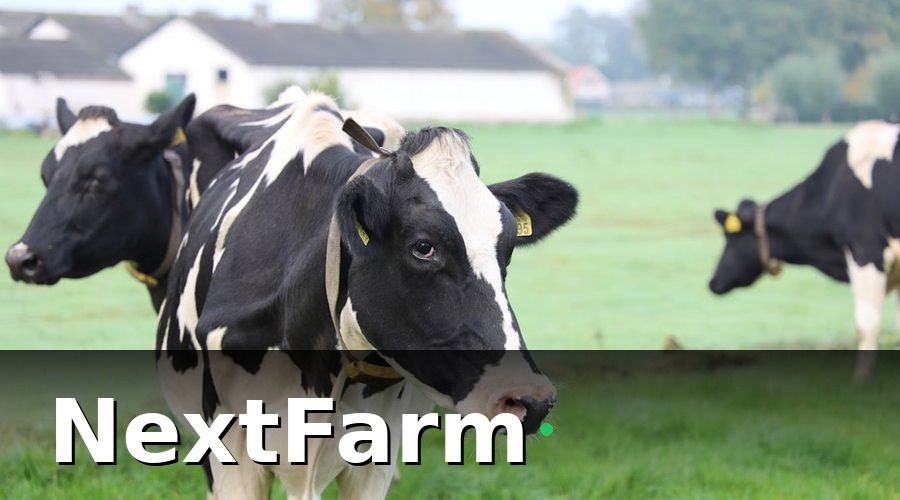 NextFarm — Tại sao trang trại bò sữa cần ghi nhật ký điện tử?