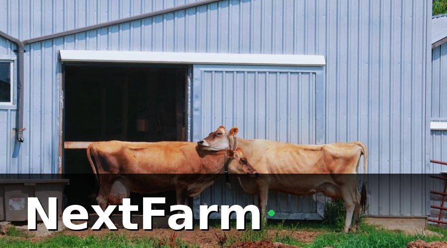 NextFarm — Các loại nhật ký cần ghi trong trang trại bò sữa