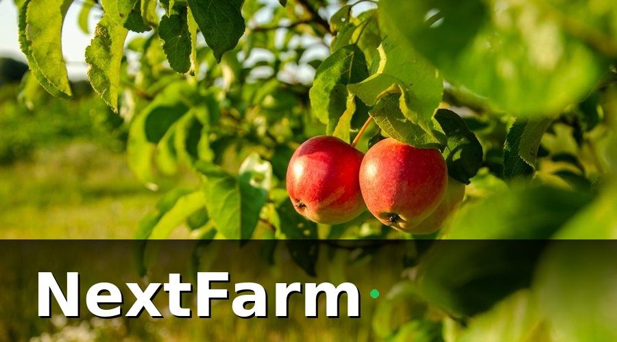NextFarm — Tại Sao Ghi Nhật Ký Điện Tử Quan Trọng Với Vườn Cây Ăn Quả?