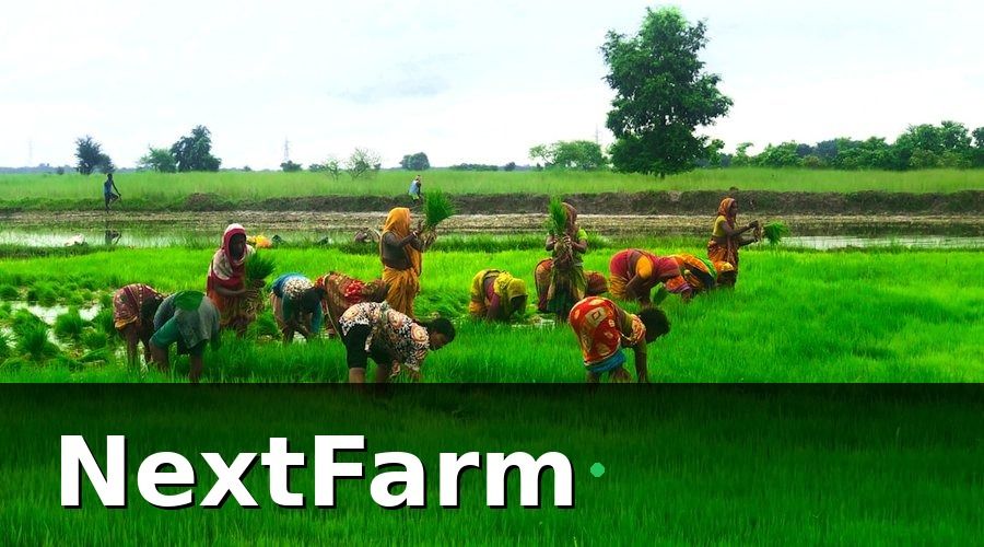 NextFarm — Chuẩn Bị Trước Khi Bắt Đầu Ghi Nhật Ký