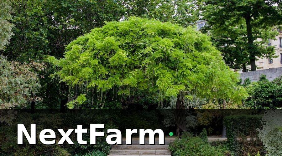NextFarm — Quy Trình Ghi Nhật Ký Điện Tử Từng Bước