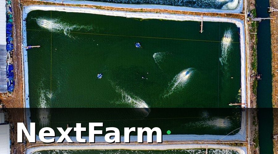 NextFarm — Thực Trạng Chuỗi Giá Trị Thủy Sản Việt Nam