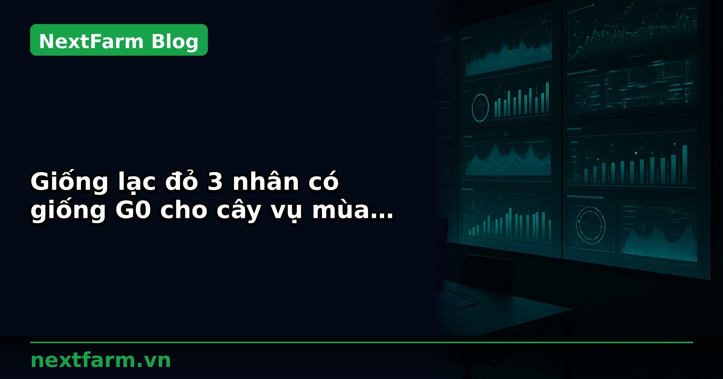 Giống lạc đỏ 3 nhân có giống G0 cho cây vụ mùa năm 2018