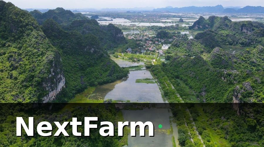 NextFarm — GlobalGAP Cho Tôm Là Gì Và Tại Sao Quan Trọng?