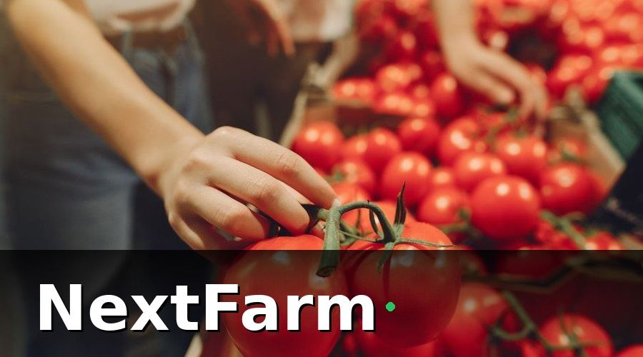 NextFarm — GlobalGAP Là Gì?