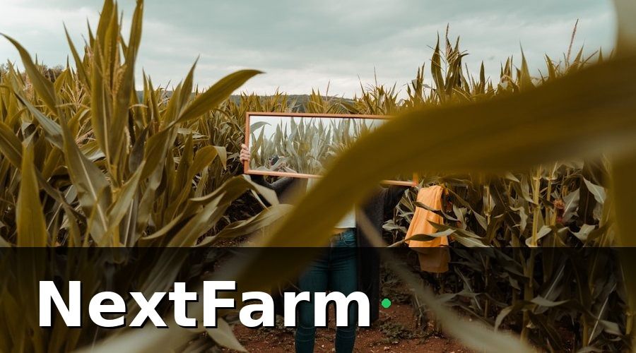 NextFarm — VietGAP Và GlobalGAP Khác Nhau Thế Nào?
