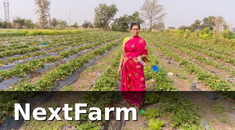 NextFarm — Quy Trình Đạt Chứng Nhận GlobalGAP Gồm Những Bước Nào?