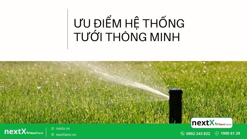 hệ thống tưới thông minh