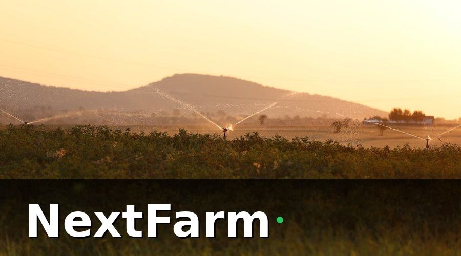 NextFarm — Hệ thống tưới tiêu thông minh là gì?