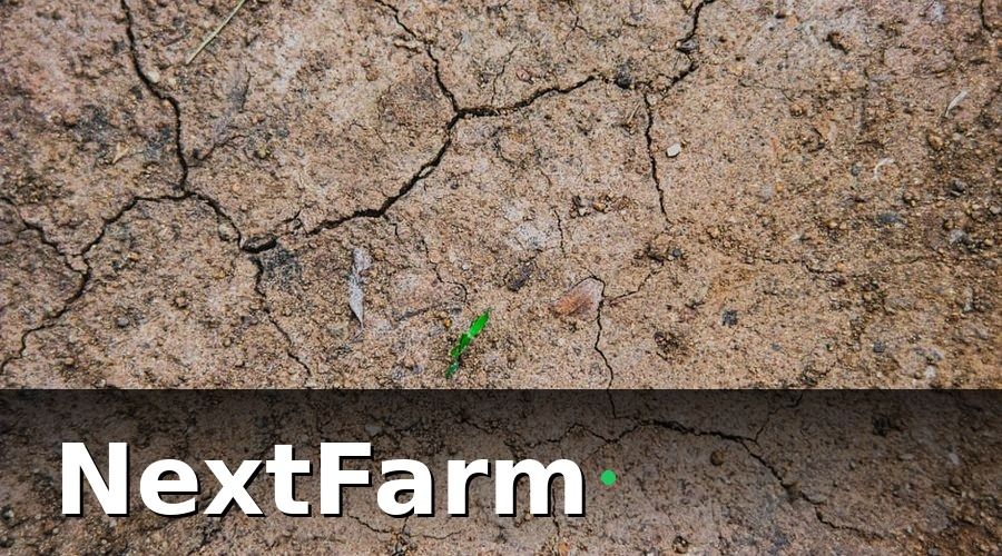 NextFarm — Tại sao cần tưới thông minh thay vì tưới truyền thống?