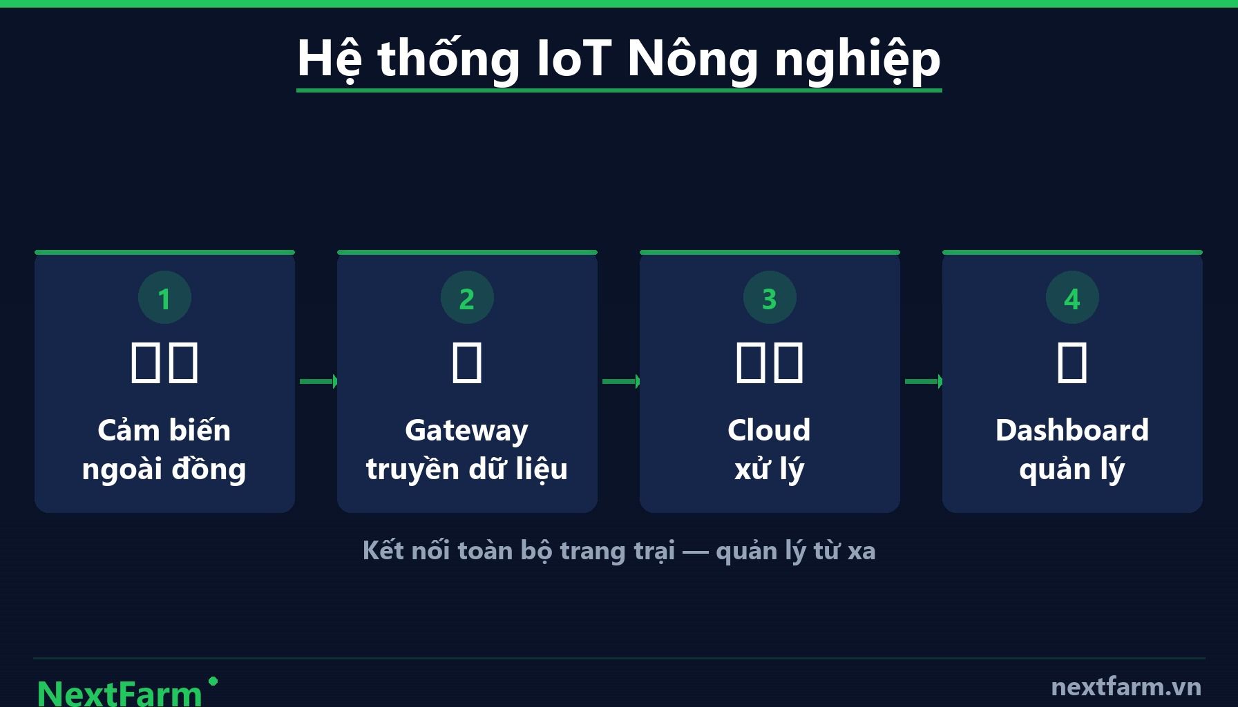 NextFarm — Các Loại Hệ Thống Tưới Tự Động Phổ Biến Hiện Nay (infographic)