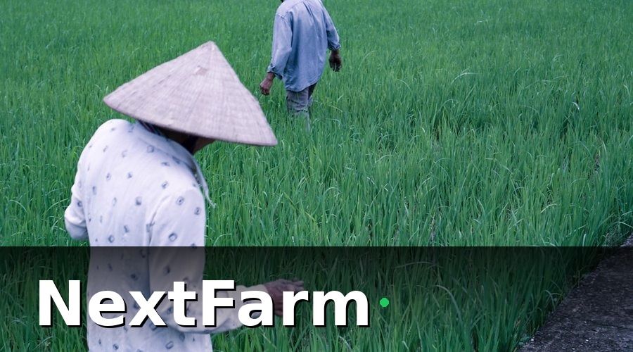 NextFarm — Tại Sao 2026 Là Thời Điểm Quan Trọng Với HTX Nông Nghiệp?