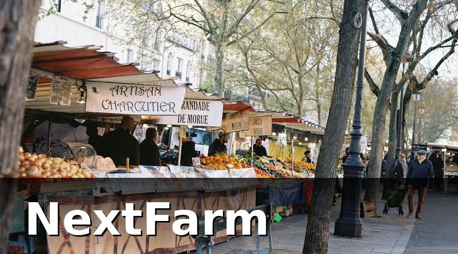 NextFarm — Các Loại HTX Nông Nghiệp Phổ Biến Tại Việt Nam