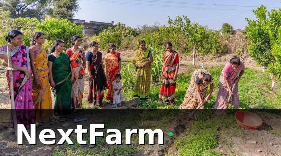 NextFarm — Lợi Ích Của HTX Nông Nghiệp Với Nông Dân