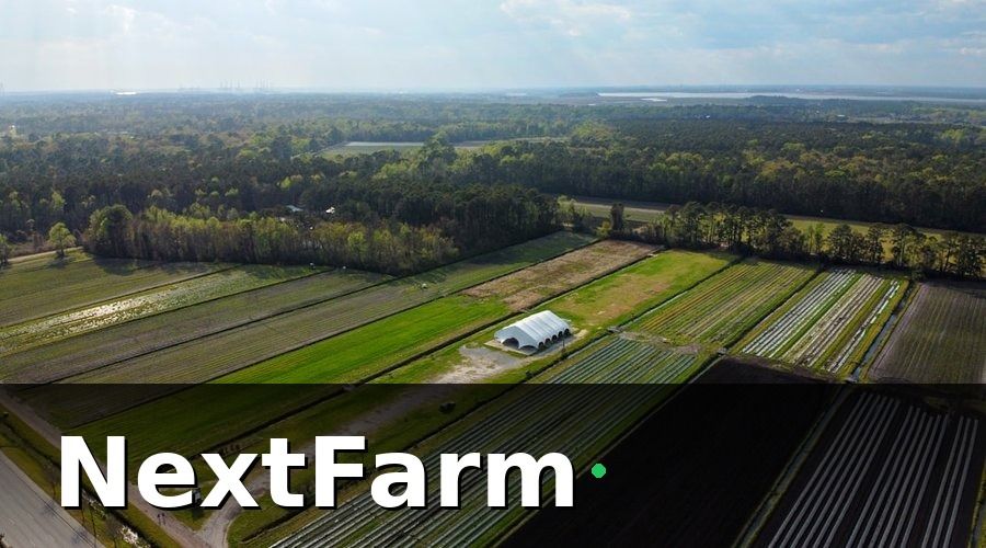 NextFarm — HTX Nông Nghiệp Kiểu Mẫu Là Gì?
