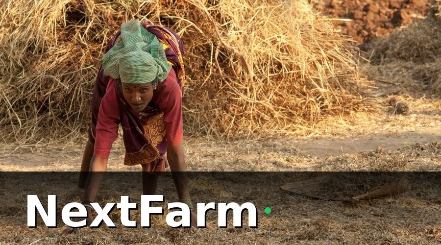 NextFarm — Bài Học Từ Thực Tiễn: Những Sai Lầm Phổ Biến Cần Tránh
