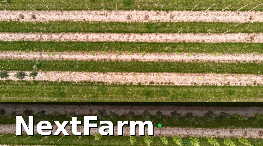 NextFarm — Các Thành Phần Cơ Bản Của Hệ Thống IoT Cà Phê