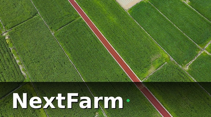 NextFarm — Tại sao IoT cảm biến là “cặp mắt” cho AI phát hiện sâu bệnh