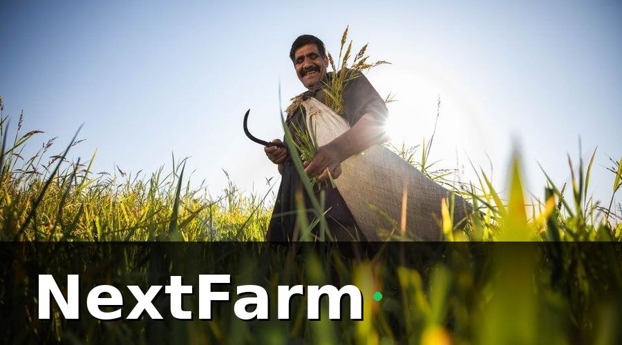 NextFarm — Các loại cảm biến phổ biến và ứng dụng thực tế
