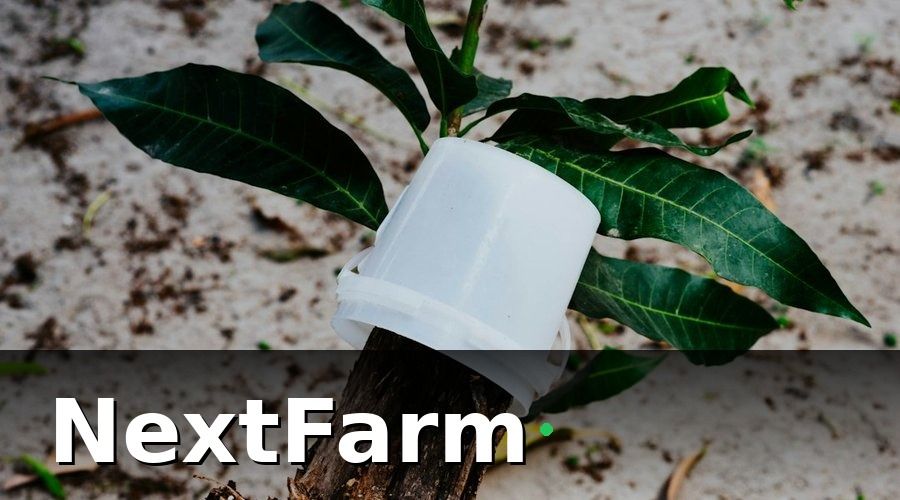 NextFarm — Tiêu chí chọn thiết bị IoT cảm biến cho AI