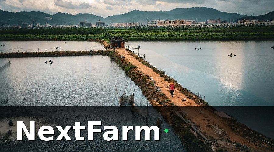 NextFarm — Tại Sao Ao Nuôi Công Nghiệp Cần IoT Cảm Biến?