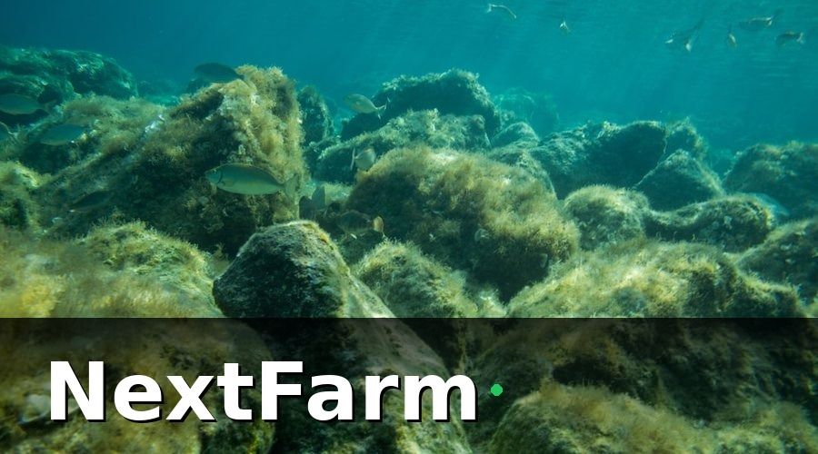 NextFarm — Các Loại Cảm Biến IoT Cần Thiết Cho Ao Nuôi