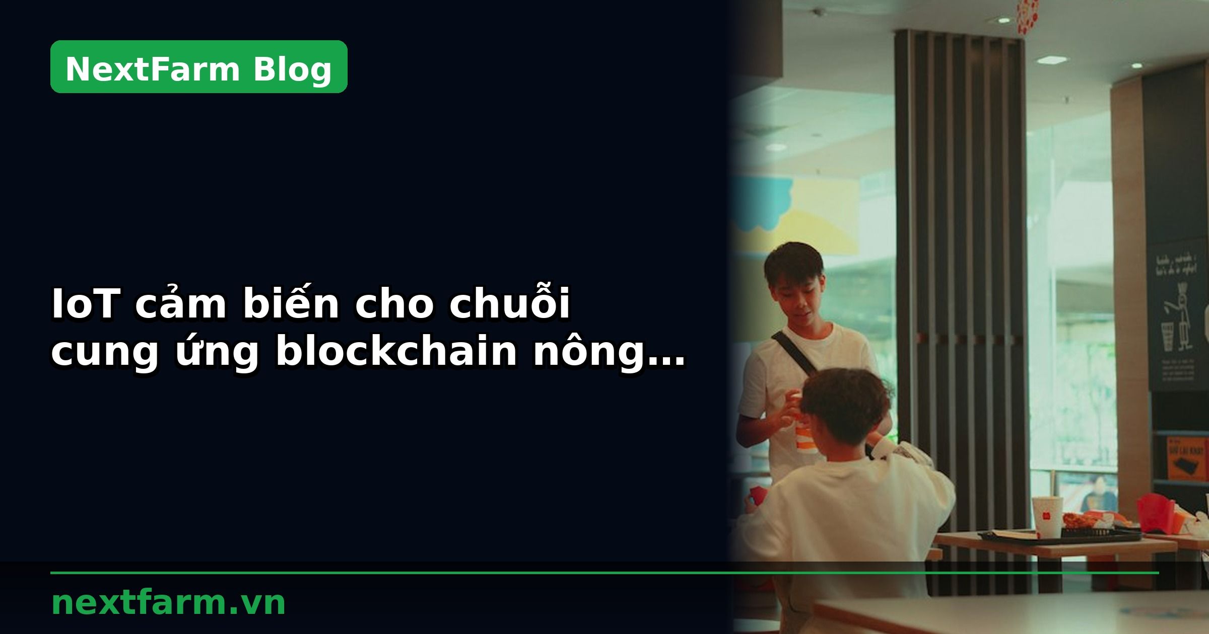 IoT cảm biến cho chuỗi cung ứng blockchain nông sản: chọn thiết bị phù hợp | NextFarm