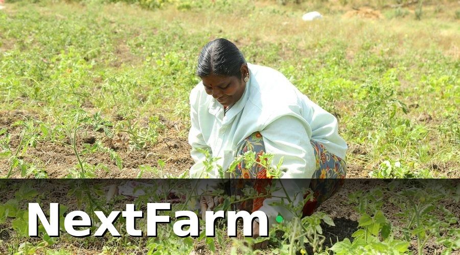 NextFarm — Tiêu chí chọn cảm biến đất phù hợp