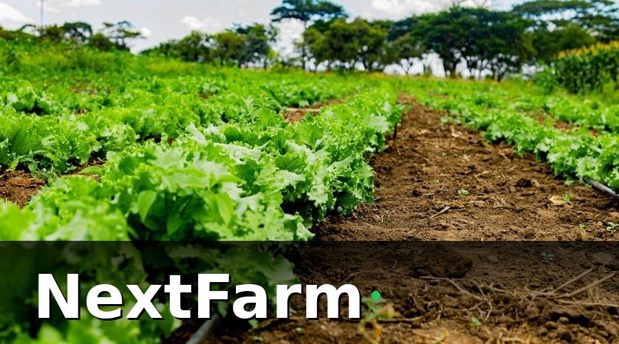 NextFarm — Phân loại IoT cảm biến theo mô hình canh tác