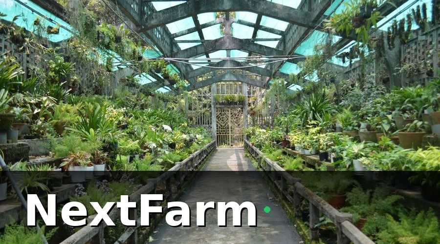 NextFarm — Các loại cảm biến phổ biến và ứng dụng thực tế