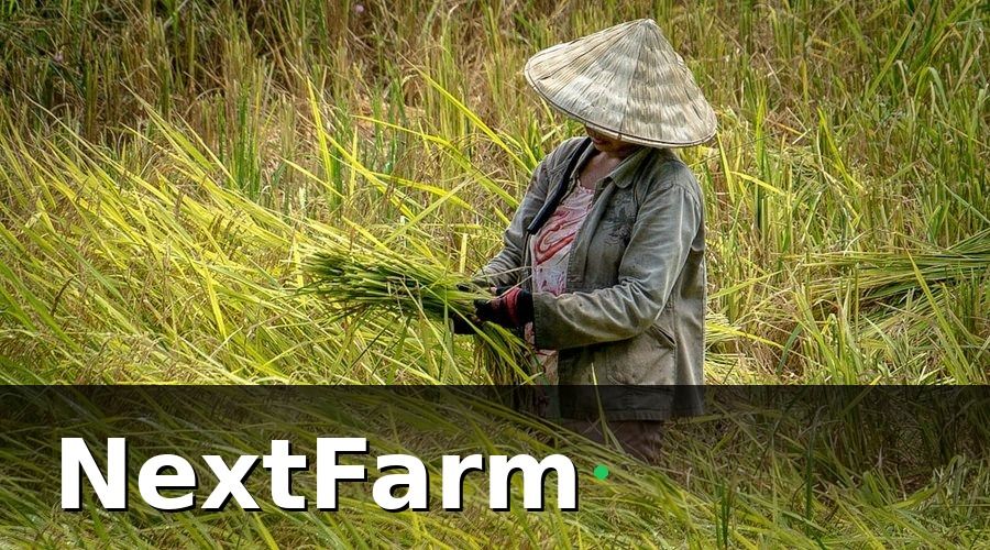 NextFarm — Tiêu chí chọn thiết bị IoT phù hợp với hữu cơ