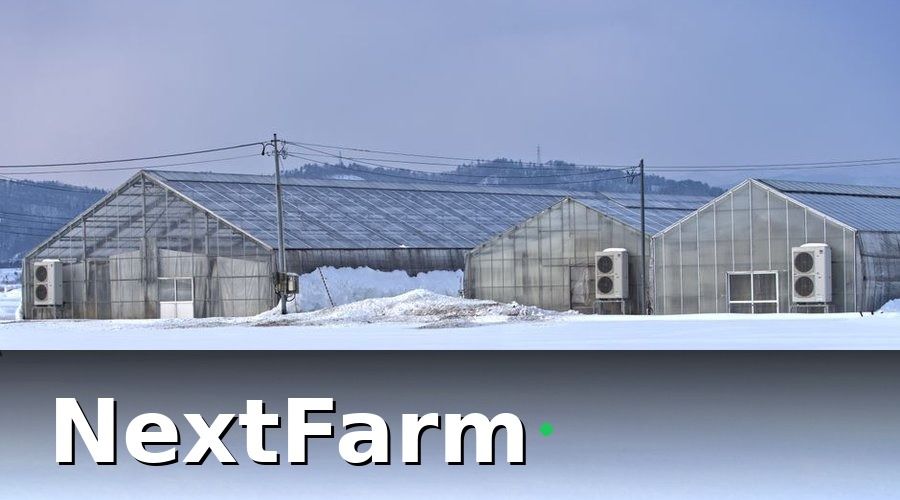 NextFarm — IoT cảm biến là gì và tại sao trang trại cần thiết bị này?