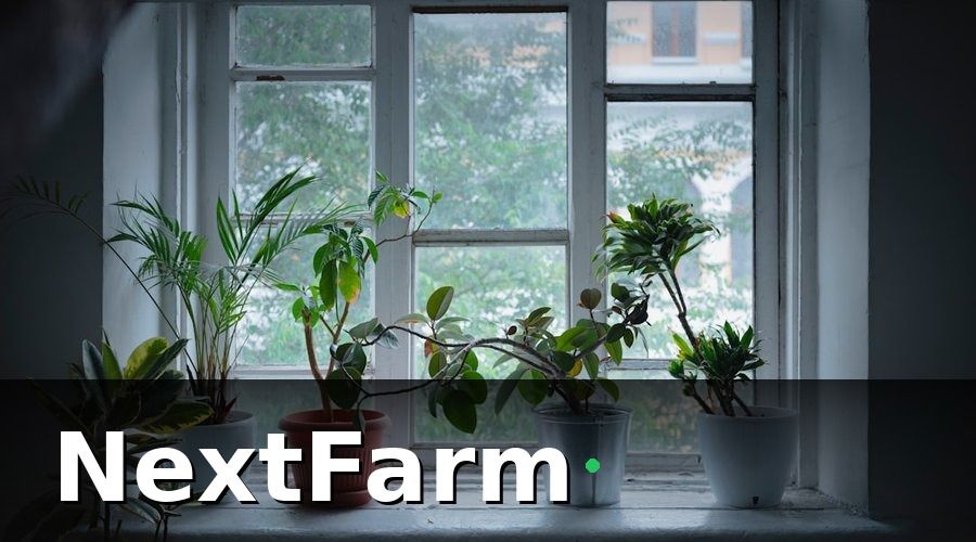 NextFarm — Các loại cảm biến cần thiết cho nhà kính công nghệ cao