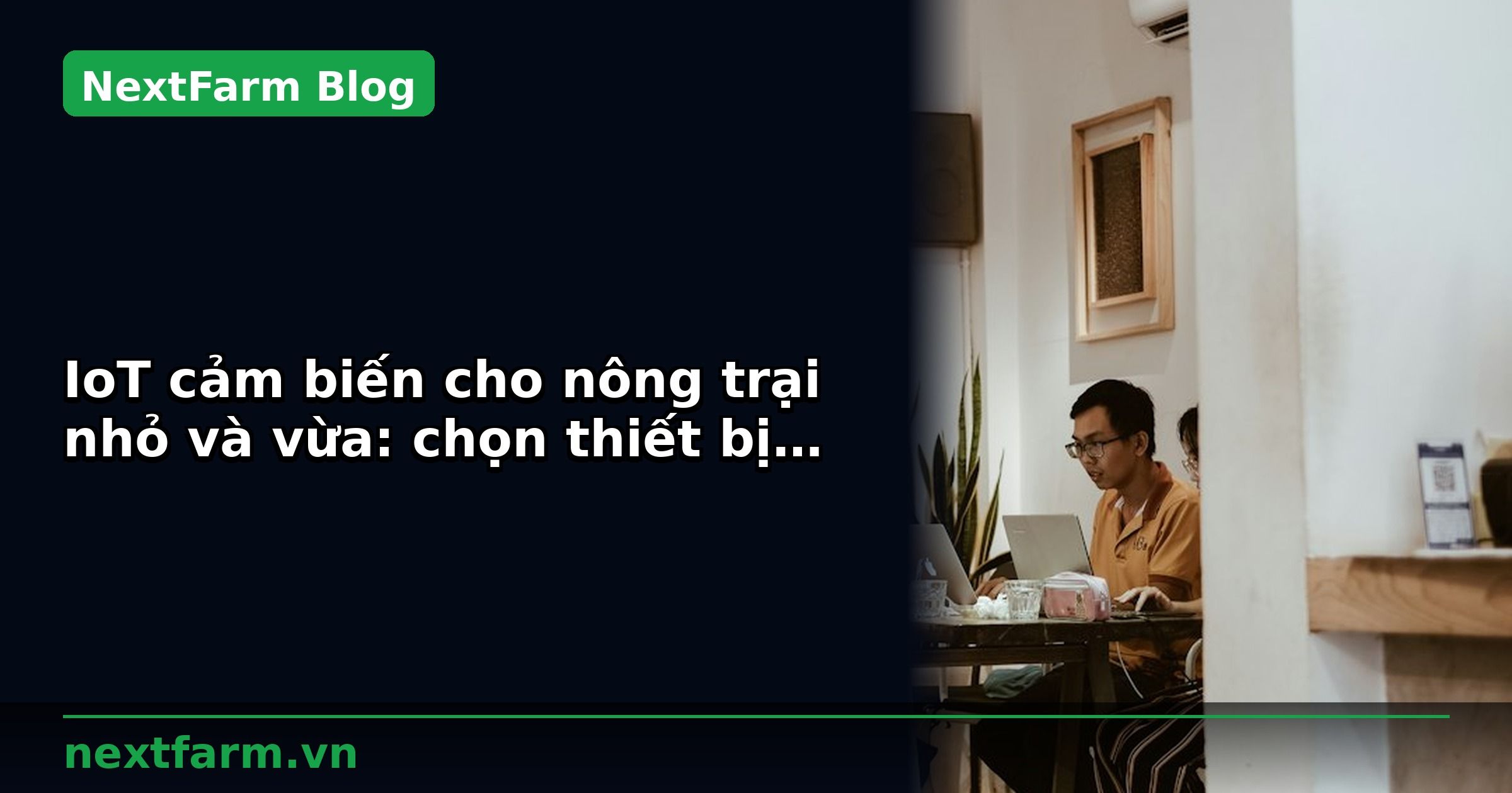 IoT cảm biến cho nông trại nhỏ và vừa: chọn thiết bị phù hợp | NextFarm